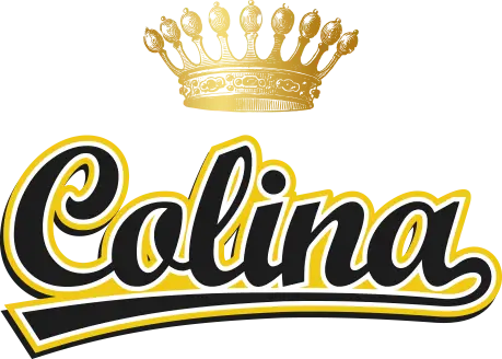 logocolina-1.png